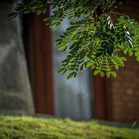 Victoria Golf Resort ディガーナ エクステリア 写真